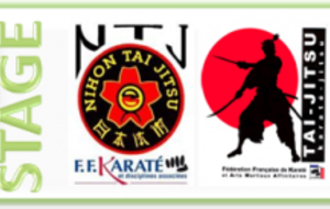 Echange Nihon Taï-jitsu et Taï-jitsu 9&amp;10 juillet