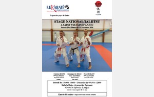 STAGE NATIONAL TAÏ-JITSU ZONE OUEST - 29 et 30 novembre 2014