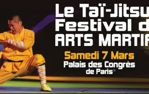 Le Taï-Jitsu au 30e Festival des Arts Martiaux