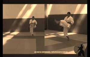 Taï-Jitsu Kata Godan (5ème)
