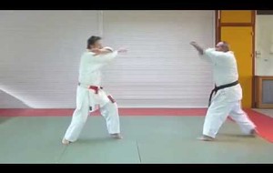 Taï-Jitsu Kata Rokudan (6ème Kata à 2)