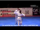 Le Tai Jitsu Christian Bisoni au festival des arts martiaux 2015 