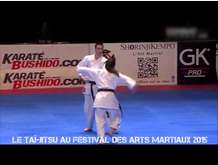 Le Tai Jitsu Christian Bisoni au festival des arts martiaux 2015 
