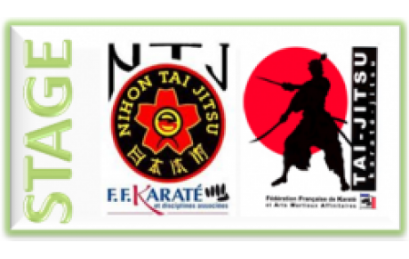 Echange Nihon Taï-jitsu et Taï-jitsu 9&amp;10 juillet